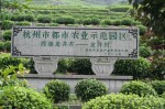 Sign in the Tea Field