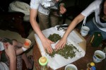 Inspecting the tea grades